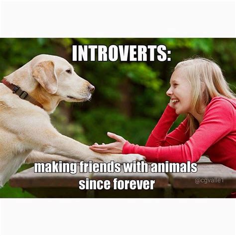 Yep I Have Many Friends Introverts And Animals Love Introvert