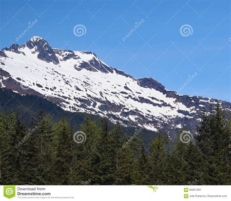 Snow Capped Mountains Tower Over Pine Trees Stock Image Image Of