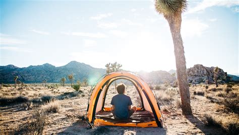 How To Camp In Joshua Tree National Park For Free