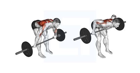 Barbell Bent Over Wide Grip Row Guide Benefits And Form