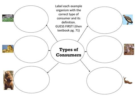 Ppt Types Of Consumers Powerpoint Presentation Free Download Id