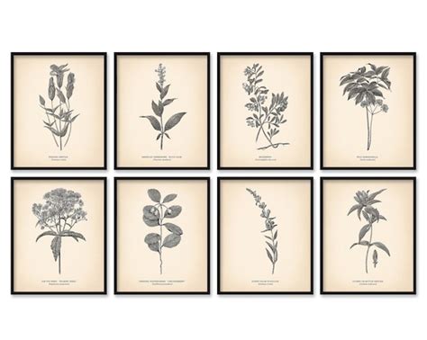 8x10 Vintage Botanical Prints Set Of 8 Botanical Etsy Uk