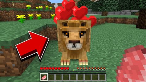 Do Not Feed This Lion In Minecraft Youtube