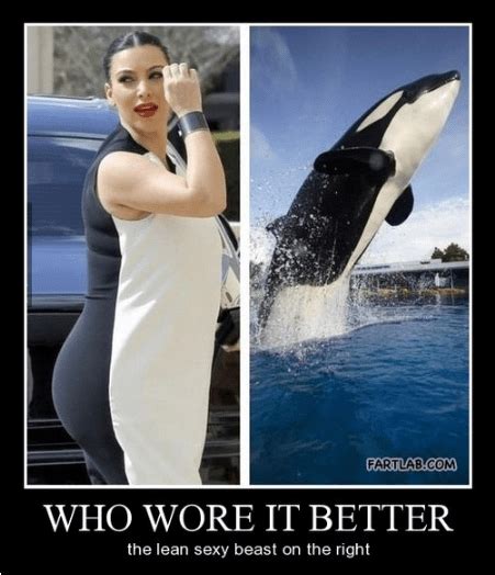 Very Demotivational Killer Whale Very Demotivational Posters