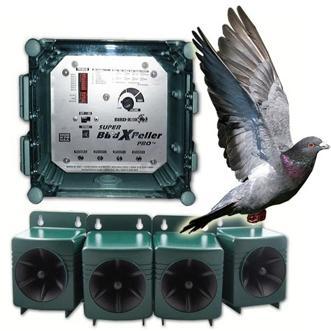 Bird Pest Control Devices Pest Control