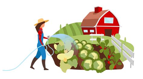 Ilustración plana de cultivo de hortalizas campo de riego de la