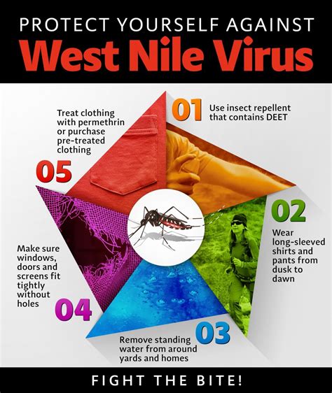 During later blood meals (when mosquitoes bite), the virus may be injected into humans and animals, where it can multiply and possibly cause illness. West Nile Virus Appears In Brownsville - Rio Grande Info ...
