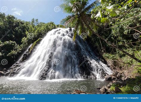 Waterfall With Palm Trees Stock Photography 102724010