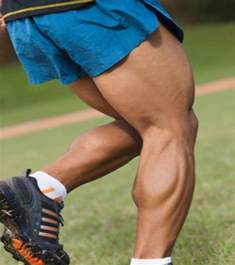 How To Build Muscles Of The Calf Calf Exercises Build Muscle