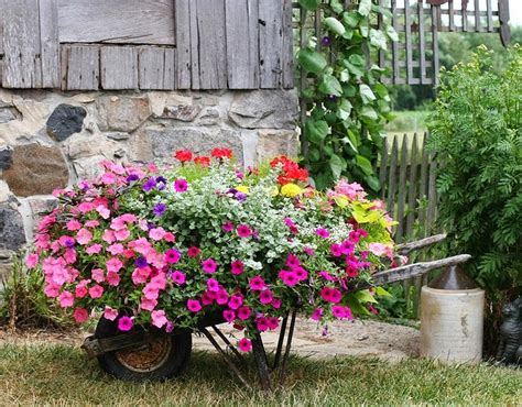 How To Decorate The Garden With Some Wheelbarrow Planters