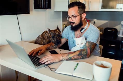 Find workspace and then some in wework malaysia's office spaces. Man Working At Home With His Dog And Cat Next To Him Stock ...