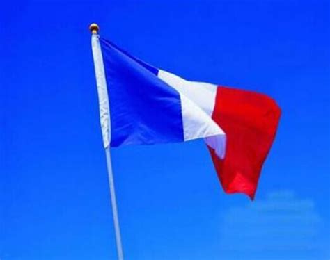 Free Shipping French Flag 35 Feet Polyester Flag90150cm Big Banners
