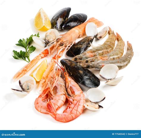 Different Raw Seafood Stock Photo Image Of Selection 77545542