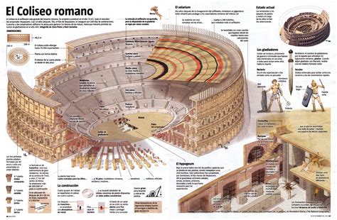 El Coliseo romano #infografia | Varios | Pinterest | History, Roman and ...