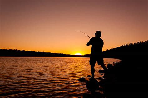 97000 Fishing Sunset Stock Photos Pictures And Royalty Free Images