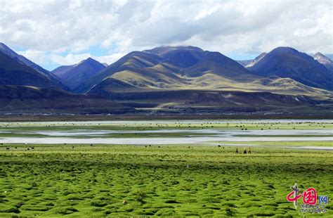 多彩西藏夏季行：从美丽圣湖到青藏高原腹地 组图 图片中国中国网