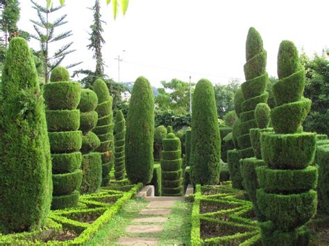 Top 20 Sculptural Topiaries 1001 Gardens Topiary Garden Urban