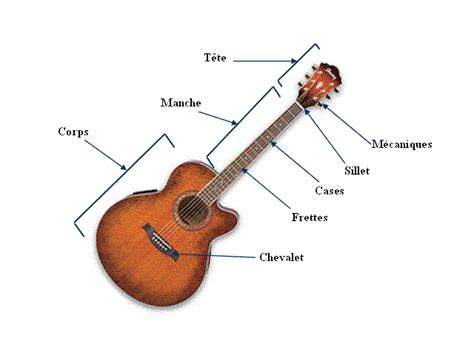 Les Différents Types De Guitare Et Leurs Constitution