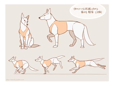 Poses Dog Drawing Reference Hadza Property