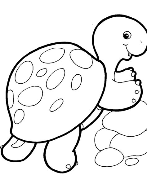 Berikut adalah sketsa gambar hewan yang mudah ditiru untuk anak tk maupun umum. 20 Gambar Mewarnai Hewan Lucu Untuk Anak PAUD dan TK