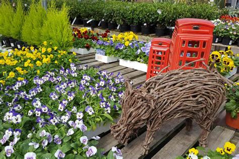 Maybe you would like to learn more about one of these? Garden Centre - Royal Mires Nursery, Crowborough, East Sussex