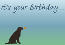 A gift wrapped with love and a handwritten birthday card or birthday message can be the perfect combo. How old are you? (adults) e-card by Jacquie Lawson