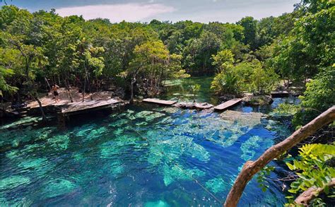 Los 10 Cenotes Más Impresionantes De Playa Del Carmen