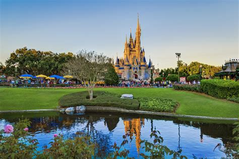 Walt Disney World Resort Homecare24