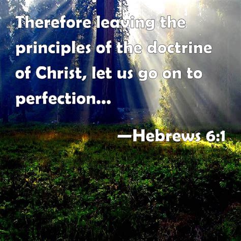 Hebrews 61 Therefore Leaving The Principles Of The Doctrine Of Christ
