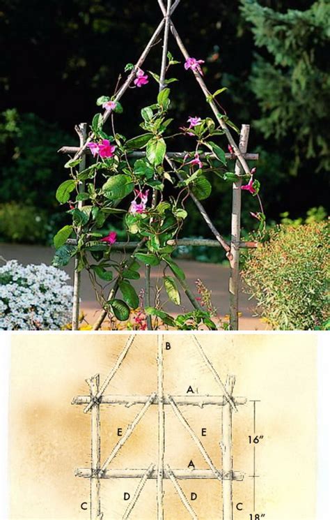 20 Awesome Diy Garden Trellis Projects Hative