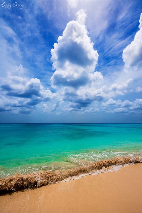 Beaches of Barbados in Photos: Paradise Beach | Lizzy Davis