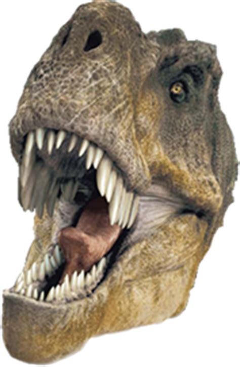 Collection of T Rex Head PNG. | PlusPNG png image