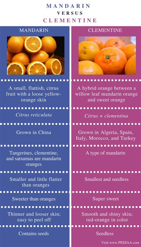 Difference Between Mandarin And Clementine Pediaacom