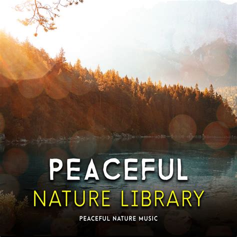 Peaceful Nature Library Album By Peaceful Nature Music Spotify