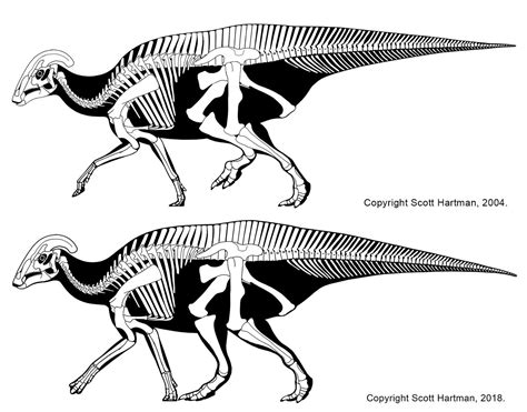 The Hadrosaur Repose Of 2018dr Scott Hartmans Skeletal