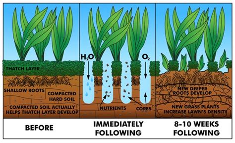 If the soil is very compacted, use jonathan green love your soil® to loosen and aerate it. YardScaping: Lawns: Thatch and Soil Compaction