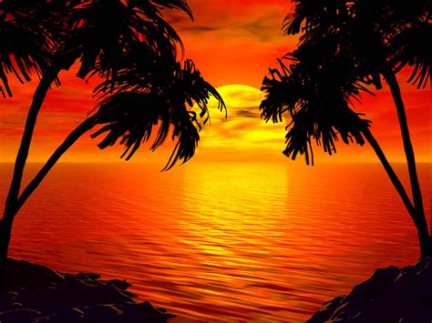 Tropical Beach Sunset Wallpaper Best Wallpaper Collection Sunset