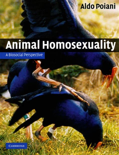 Animal Homosexuality A Biosocial Perspective Nhbs Academic