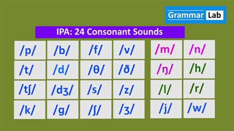 Ipa 24 Consonant Sounds Youtube