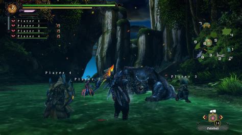 Monster Hunter Ultimate Screenshots F R Wiiu