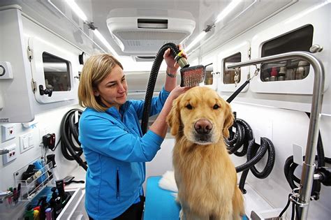 We use industry best practices to ensure the safety and satisfaction of all our services. Mobile Spaw: Pet grooming convenience, right to your door ...