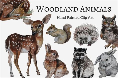 Woodland Animals Hand Painted Clip Art Set 57890 Illustrations