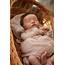 Reborn Baby Doll Levi Original Mold By Bonnie  Etsy