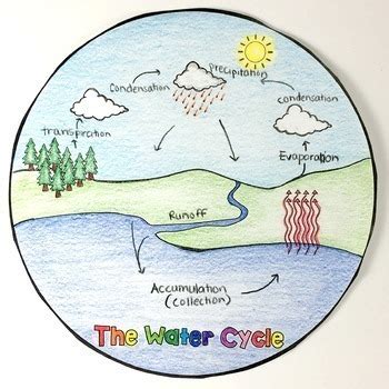 How to draw water cycle easy | water cycle drawing step by step for beginners color drawing book have tutorials for beginners. The Water Cycle Circle Book by The Owl Teacher | TpT