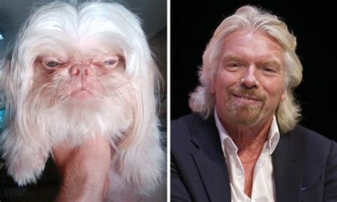 Here Is A Collection Of Animals That Look Like Celebrities