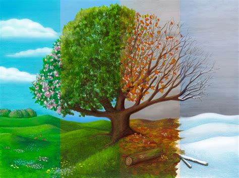 Solve Tree In Four Seasons Jigsaw Puzzle Online With Pieces