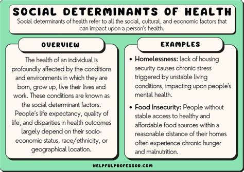 10 Social Determinants Of Health Examples 2023
