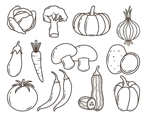 Descubrir 85 Imagen Dibujos De Las Verduras Para Colorear Viaterramx