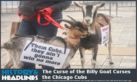 The Curse Of The Billy Goat Curses The Chicago Cubs History And Headlines