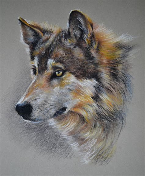 A Drawing Of A Wolfs Head With Blue Eyes And Brown Fur On A Gray